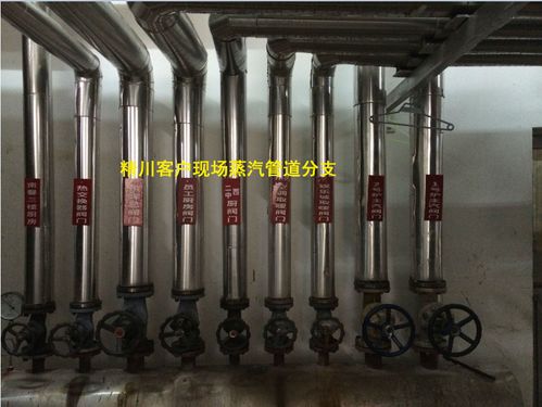鍋爐蒸汽流量計(jì)應(yīng)用指南 酒店、食品廠與醫(yī)院選擇要點(diǎn)